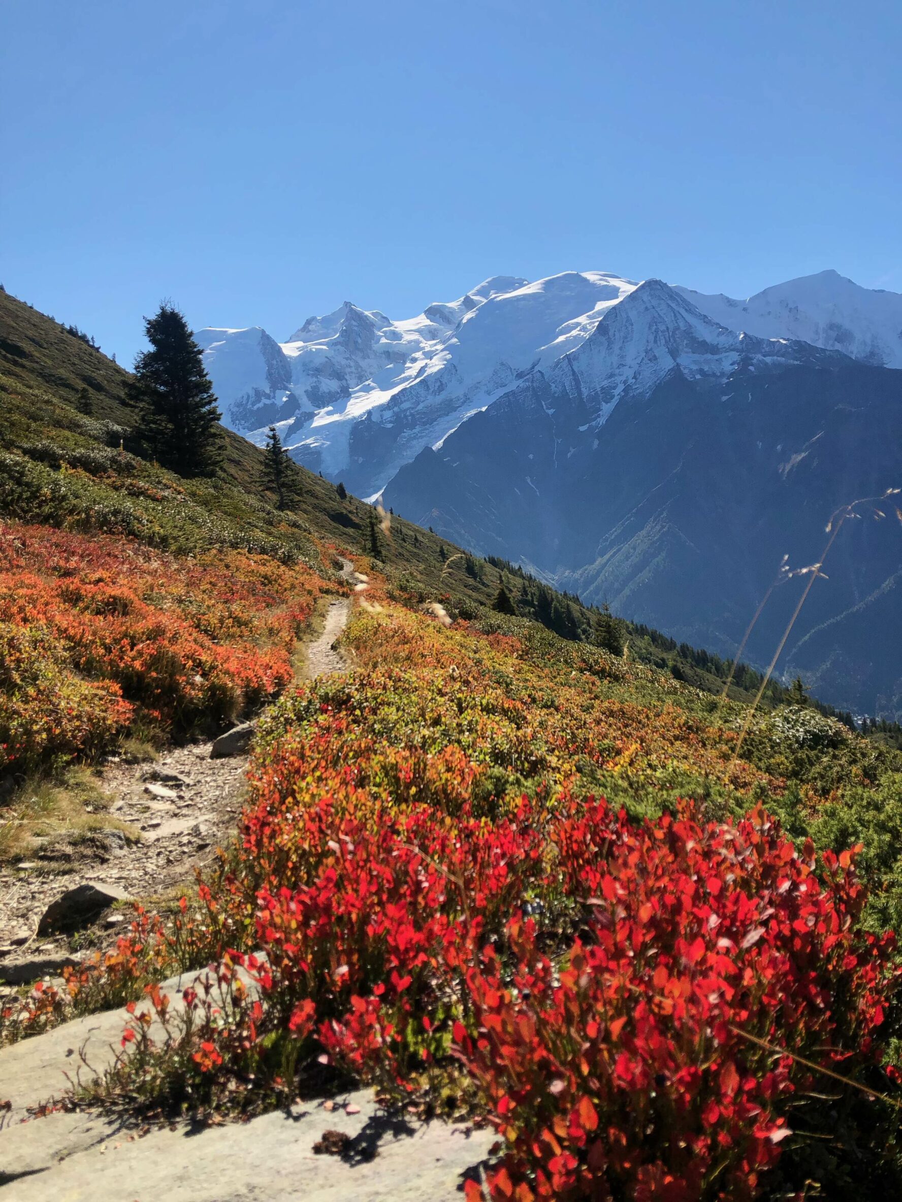 MTB singletrack in the Chamonix area, French Alps.