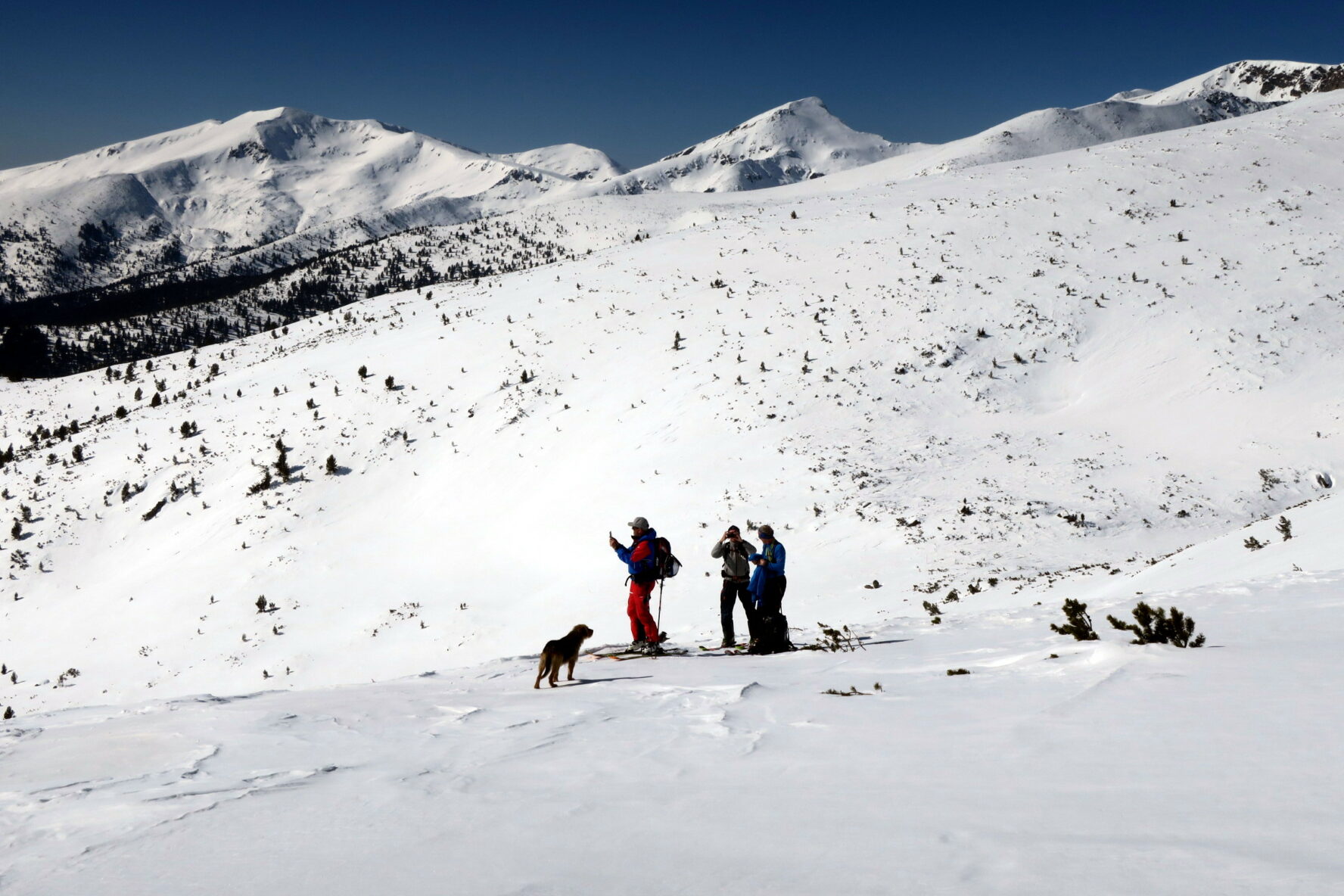 Skiers and a dog, Semkovo, Bulgaria