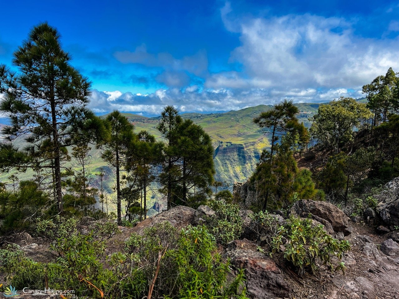 Terraced landscapes of Gran Canaria