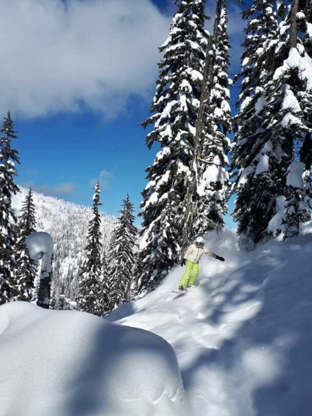 powder highway skier