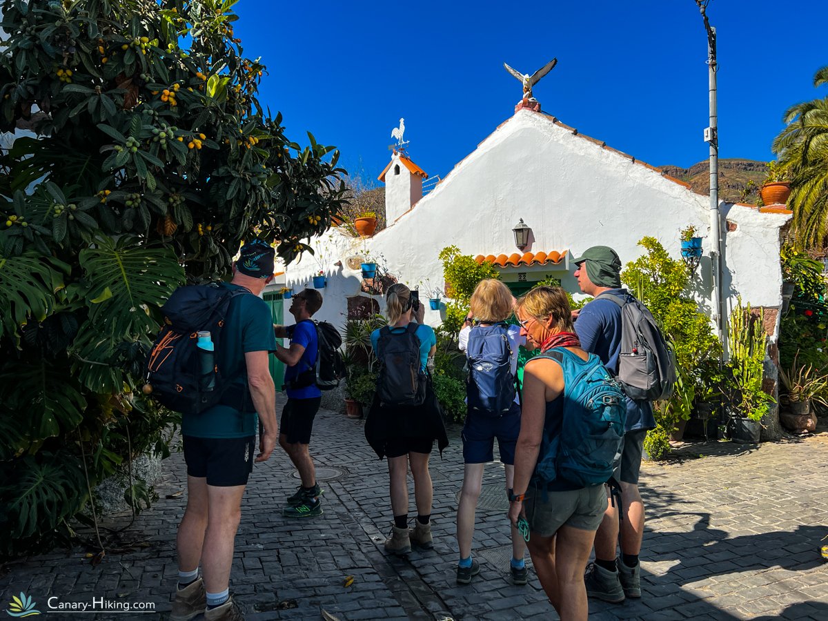 Typical Canary village