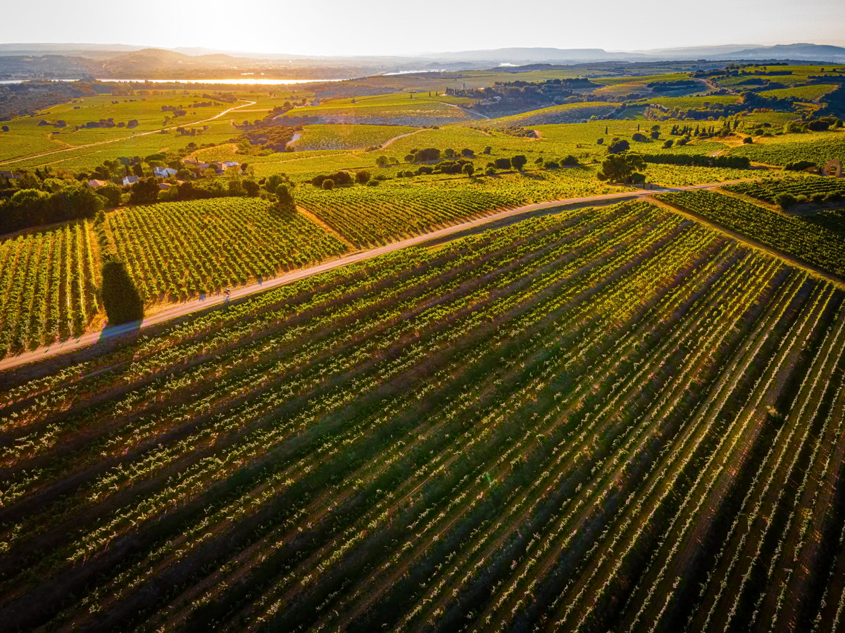 Aerial view of Châteauneuf-du-Pape