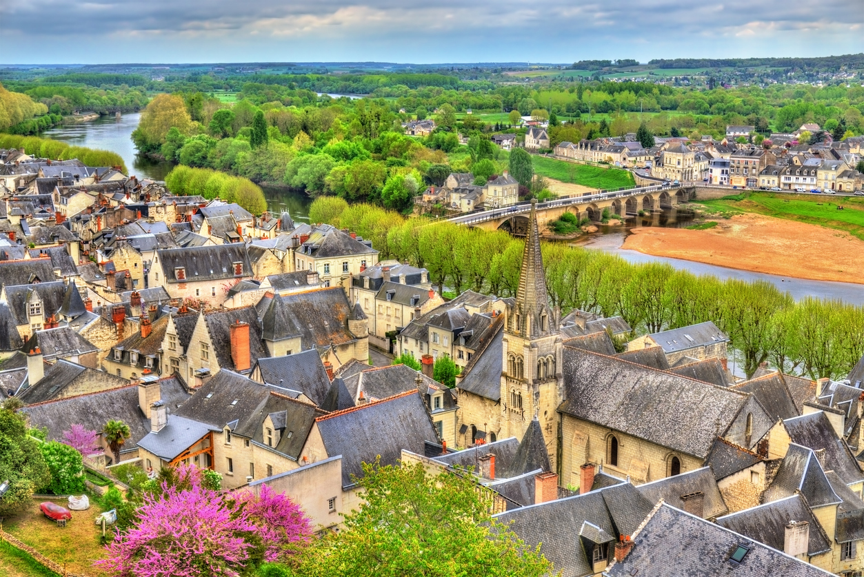 Chinon panorama, France