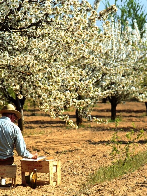 Bike tour in Provence, France, guided