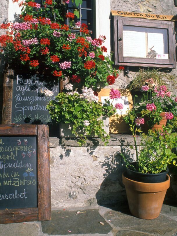 Grand Alps Tour in Switzerland, France, Italy