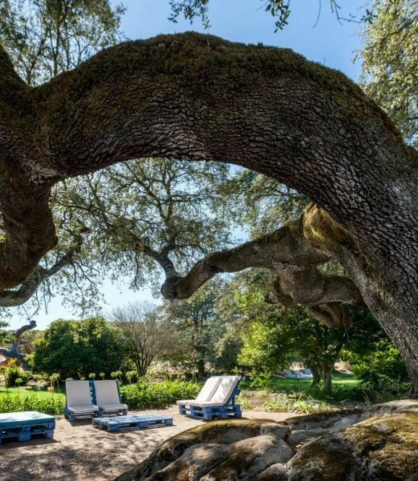 Cycling holiday in Alentejo