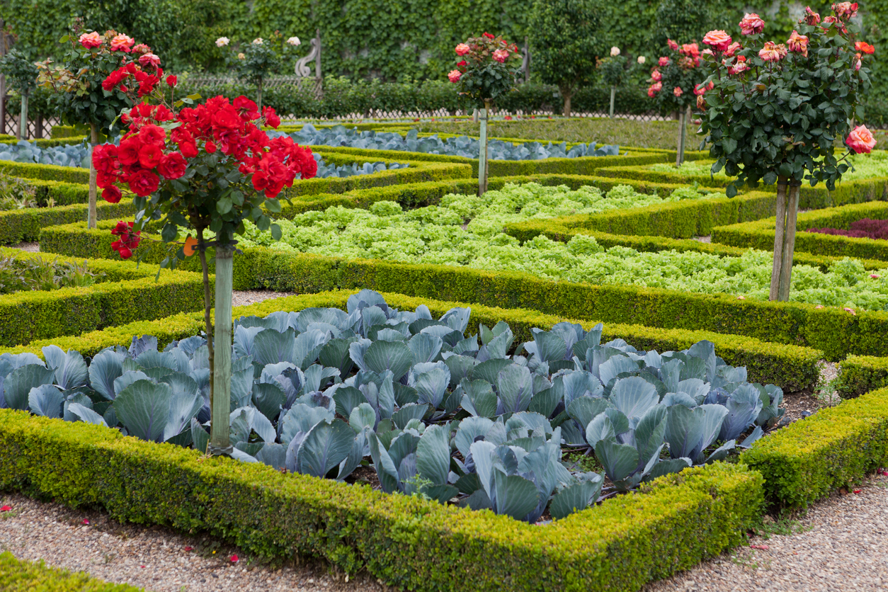Gardens of Villandry castle