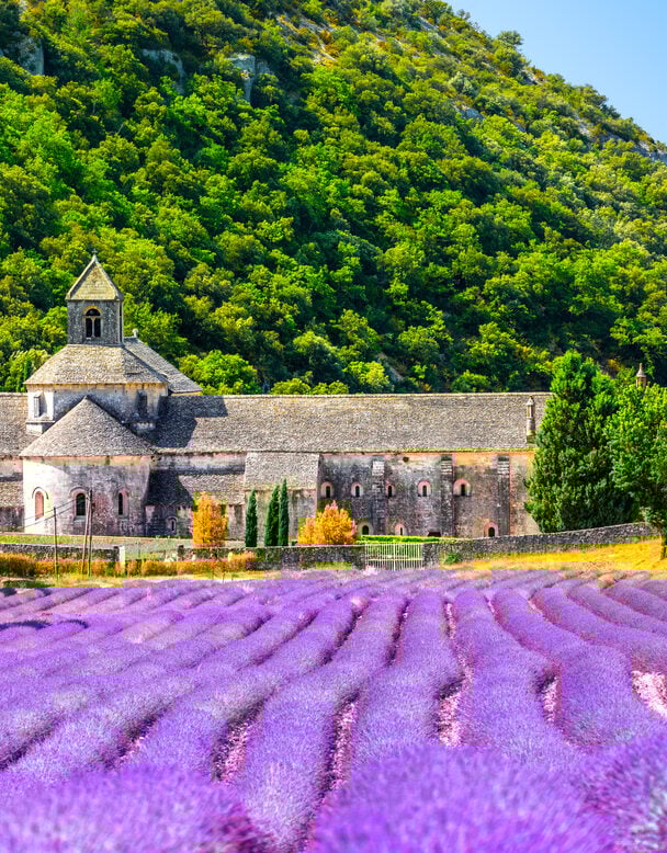 Provence tour for women