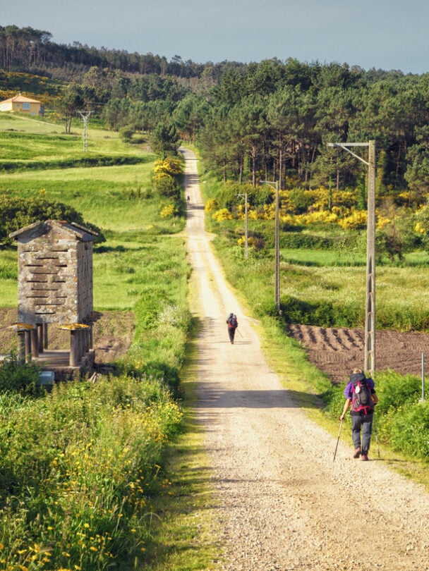 Camino de Santiago deluxe adventure