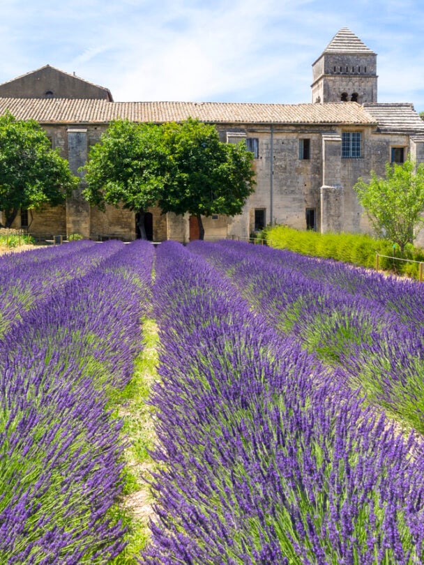 Bike tour in Provence, France, guided
