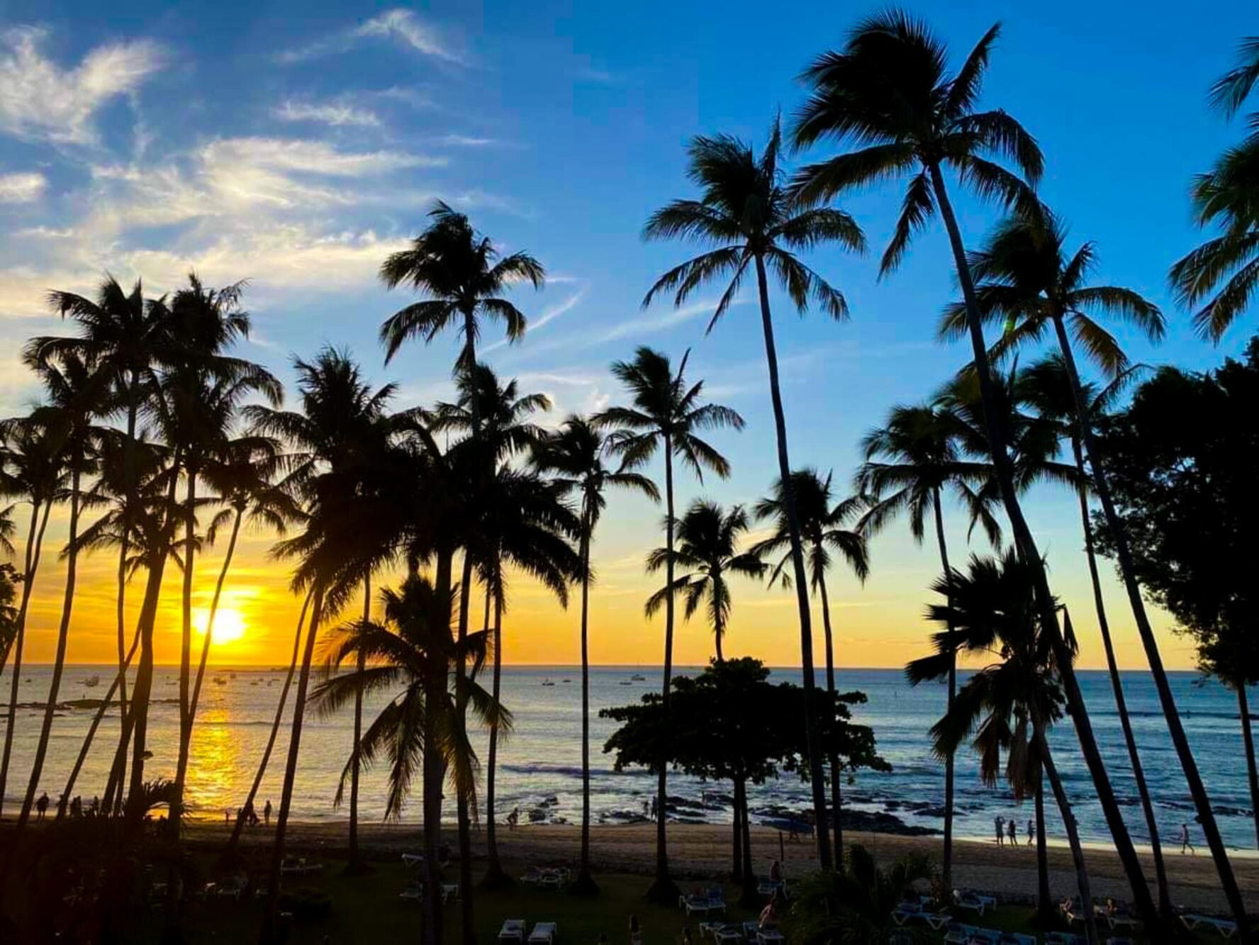 Palm trees and sunset in Tamarindo