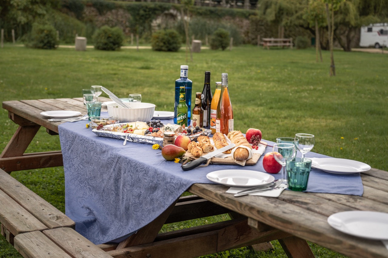 Group on a picnic in Loire Valley