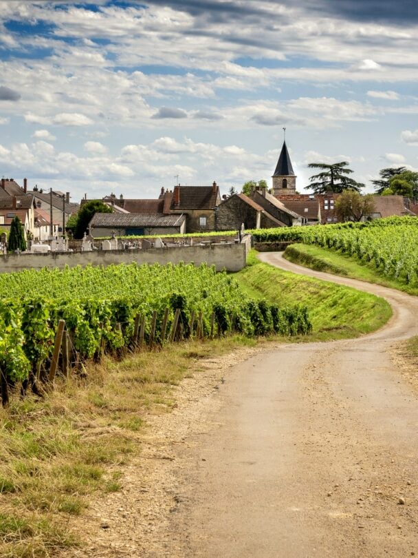 South Burgundy bike tour