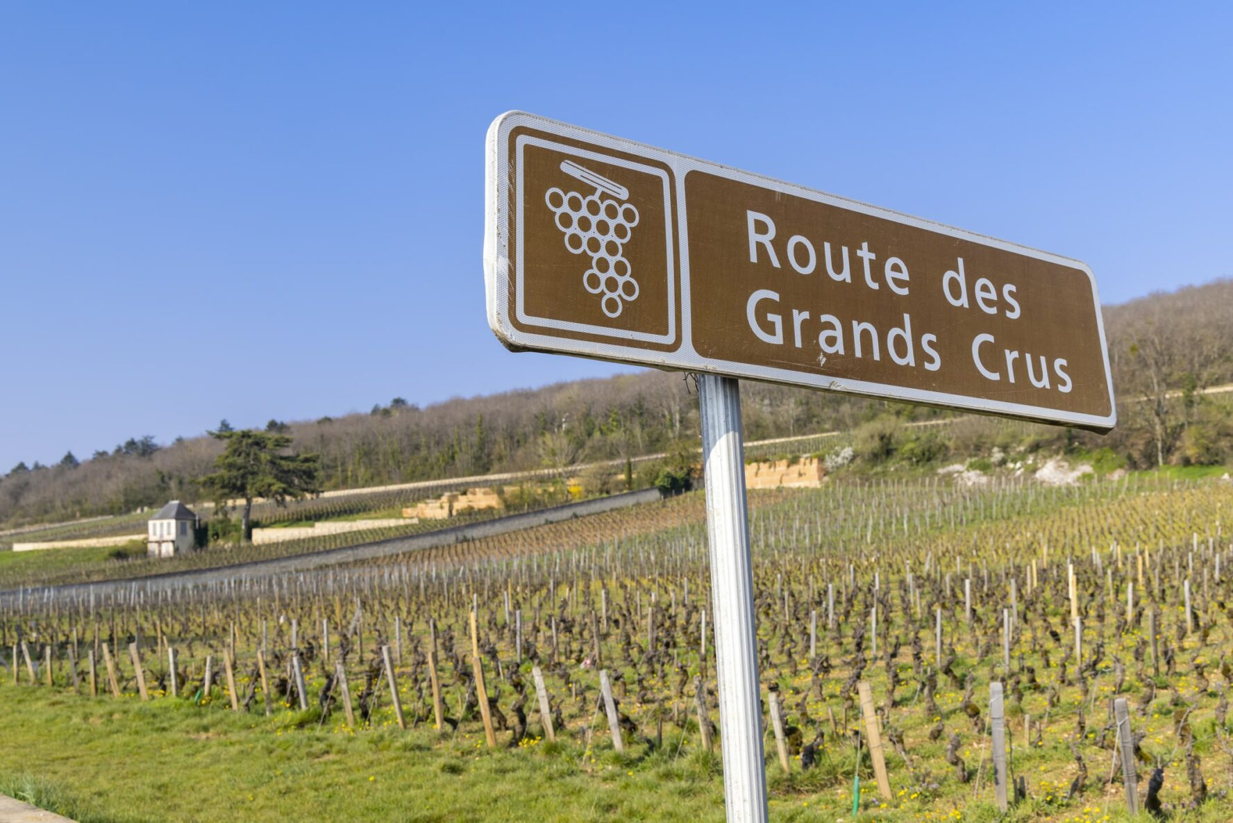 A view of the Route des Grands Crus in Burgundy