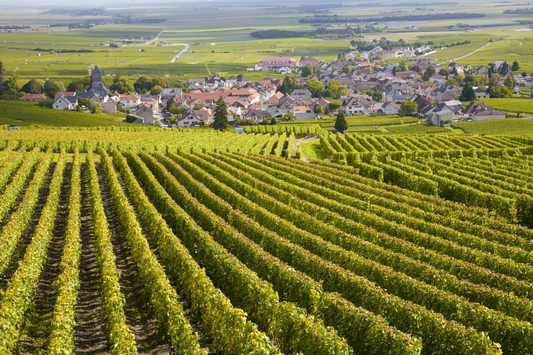 Vineyards and a village in Burgundy, France