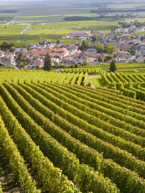 South Burgundy bike tour