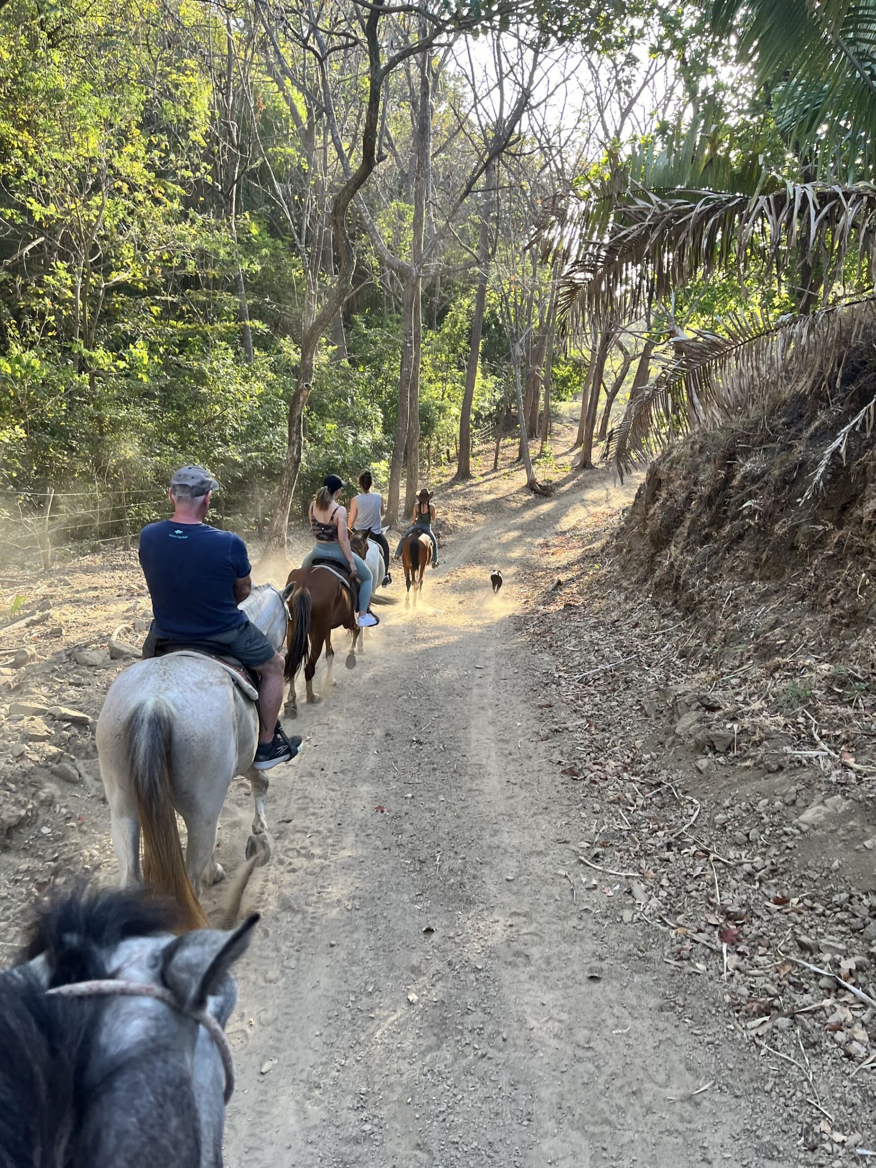 Costa Rica horseback riding