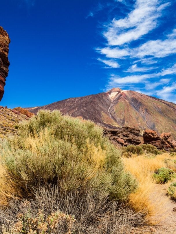 Hikers with El Teide in the distance