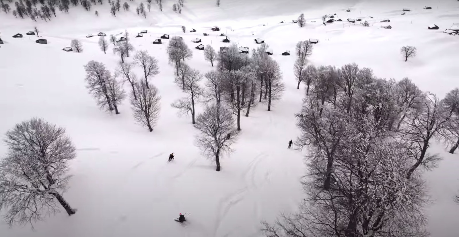 Skiers in a powder field in Goderdzi, Georgia