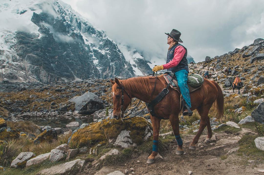 Horse in the Peru mountains