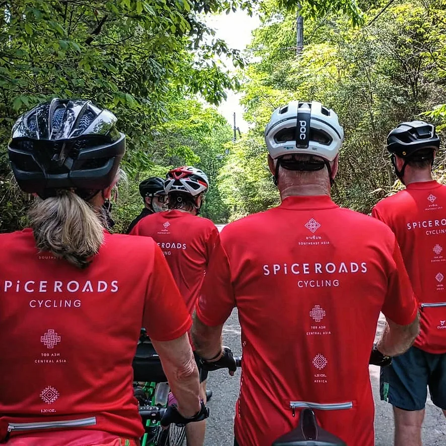 Bikers riding in a line on a road near Nara, Kyoto