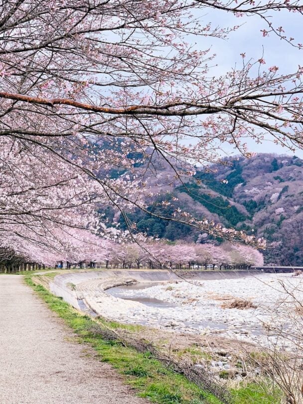 Onsen to Onsen Bike Tour of Kyushu, Japan
