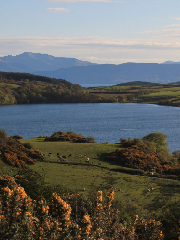 West Island Way walking tour