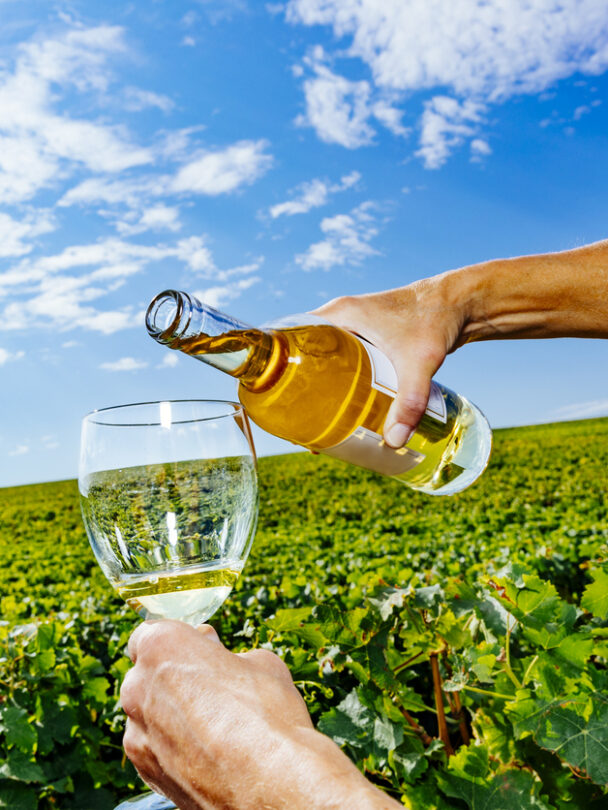 Loire Valley Bike Tour: Chateaux, Wine & Beyond