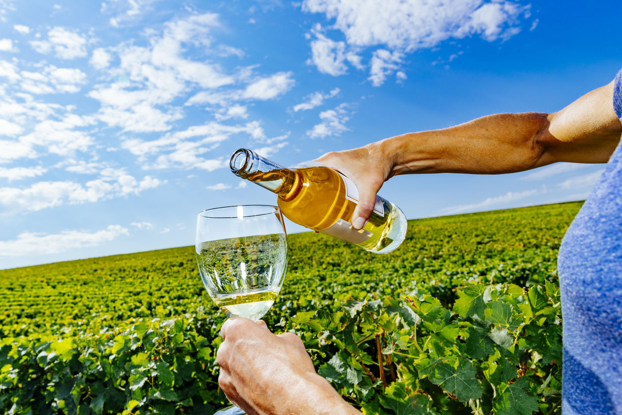 A vineyard and a man pouring wine in Liore Valley