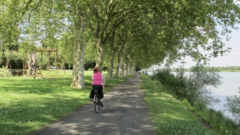 South Burgundy bike tour