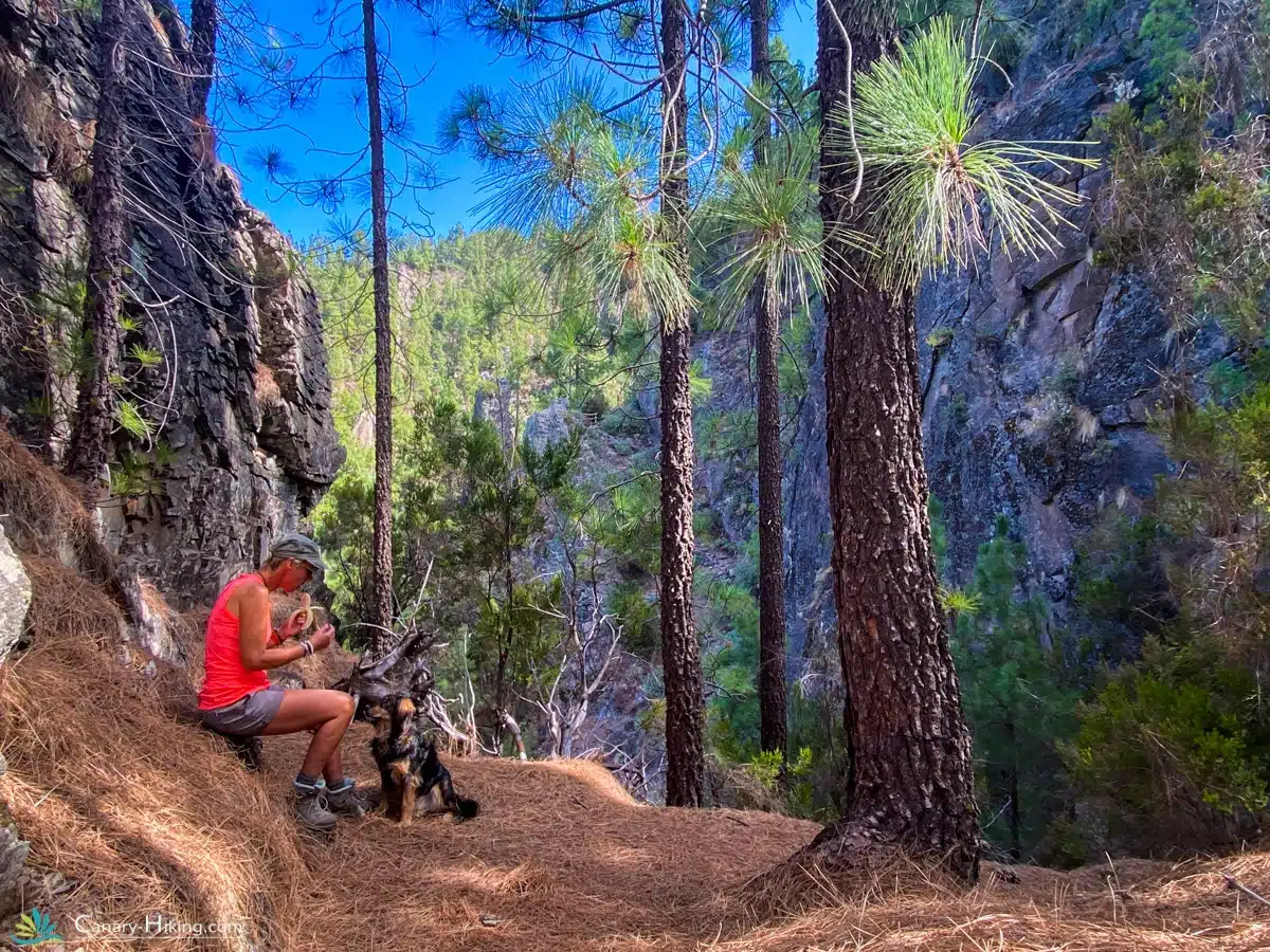 A hiker and a dog in front of a scenic landscape in Tenerife