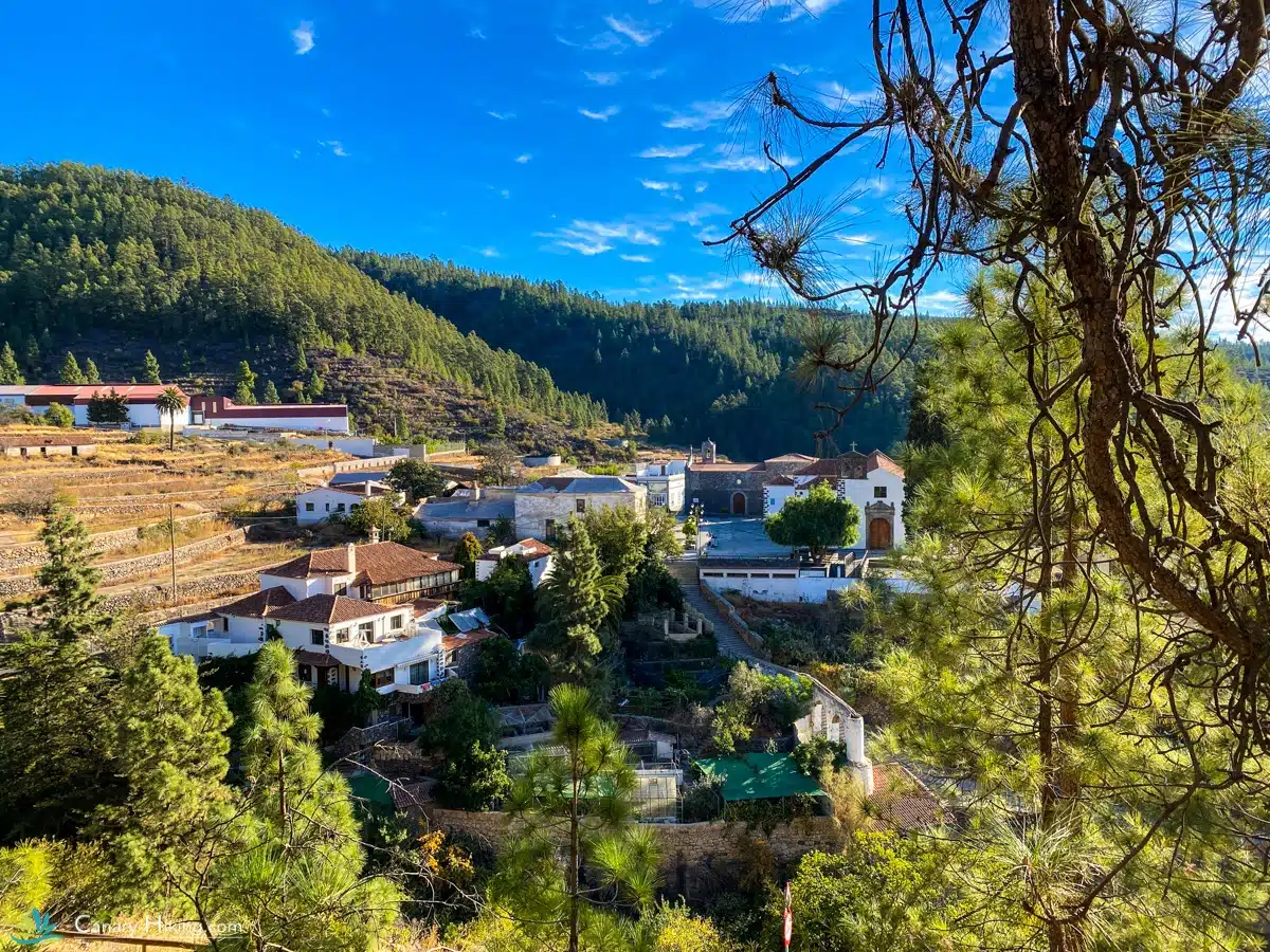 A village hidden in a secluded forest in Tenerife