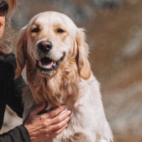 Woody the Dog