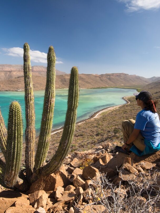 Isla Espiritu Kayakers group