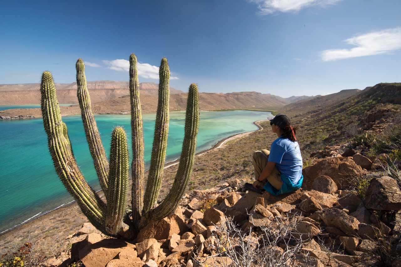 Cactus and hiking Isla Espiritu