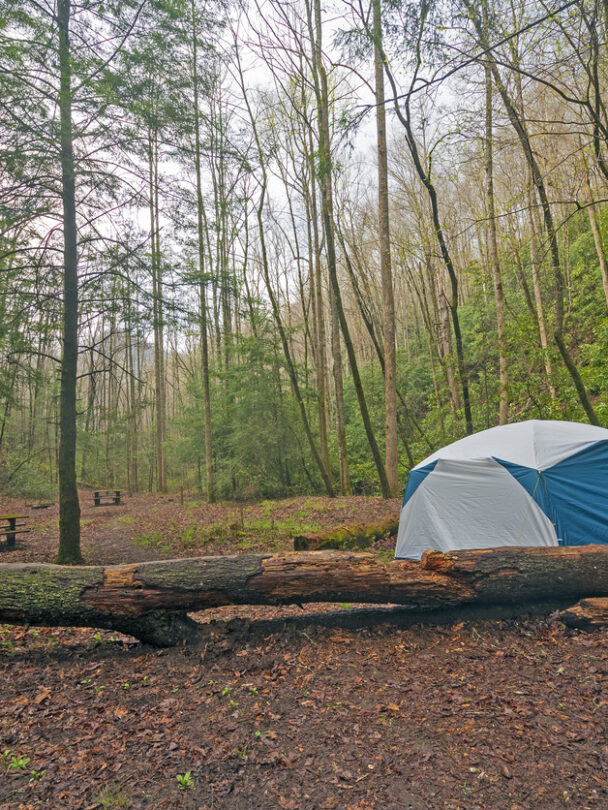 Smoky Mountains backpacking trip
