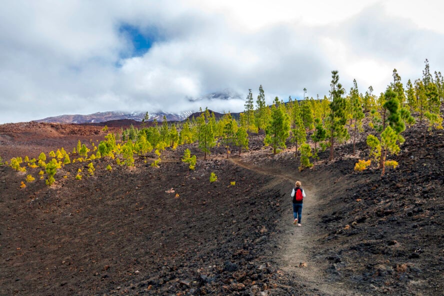 Mature woman photographs a road under the El Tido volcano, Tenerife, Spain,no logos,Nikon D850