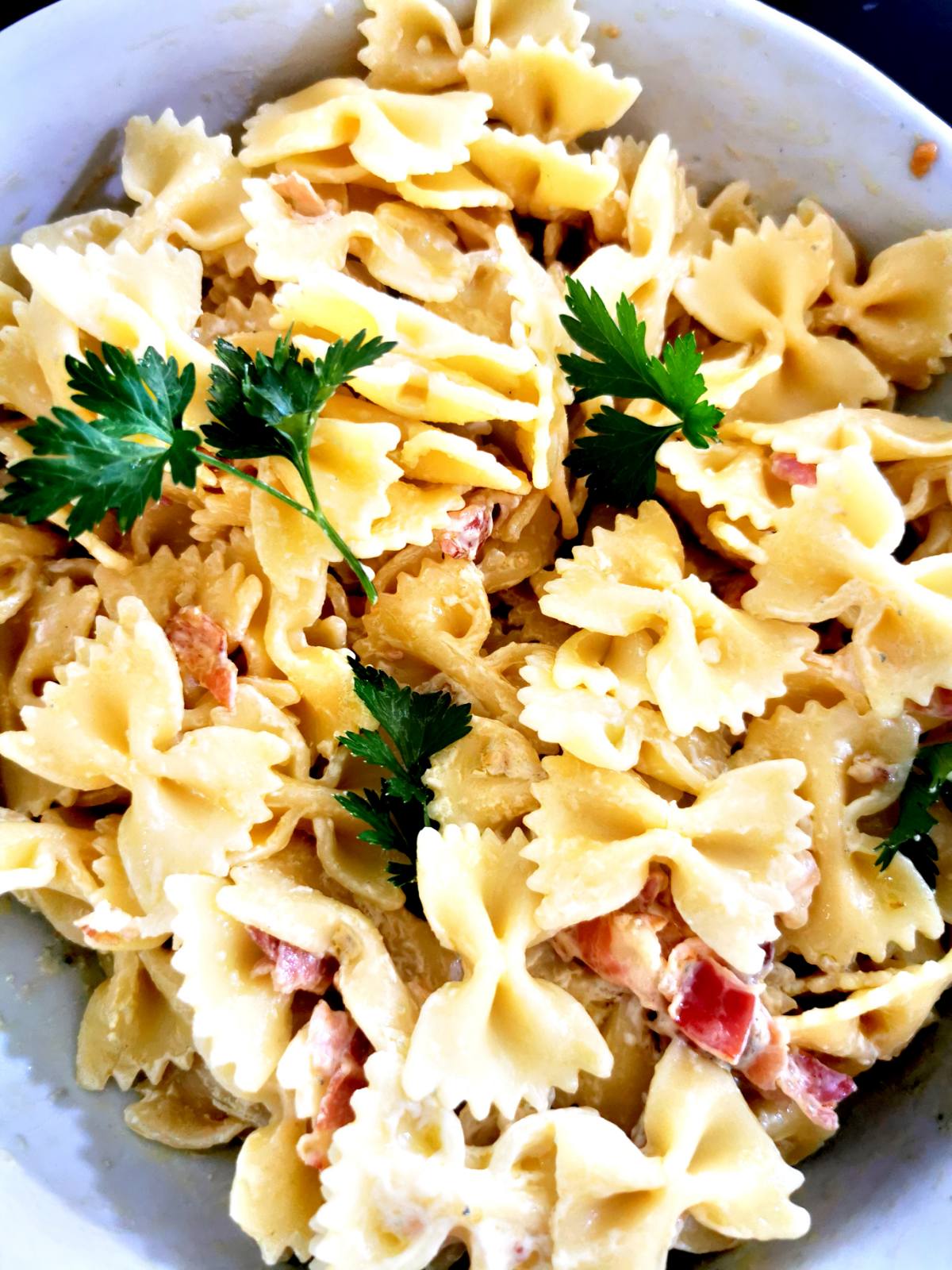 Farfalle salad in Istria