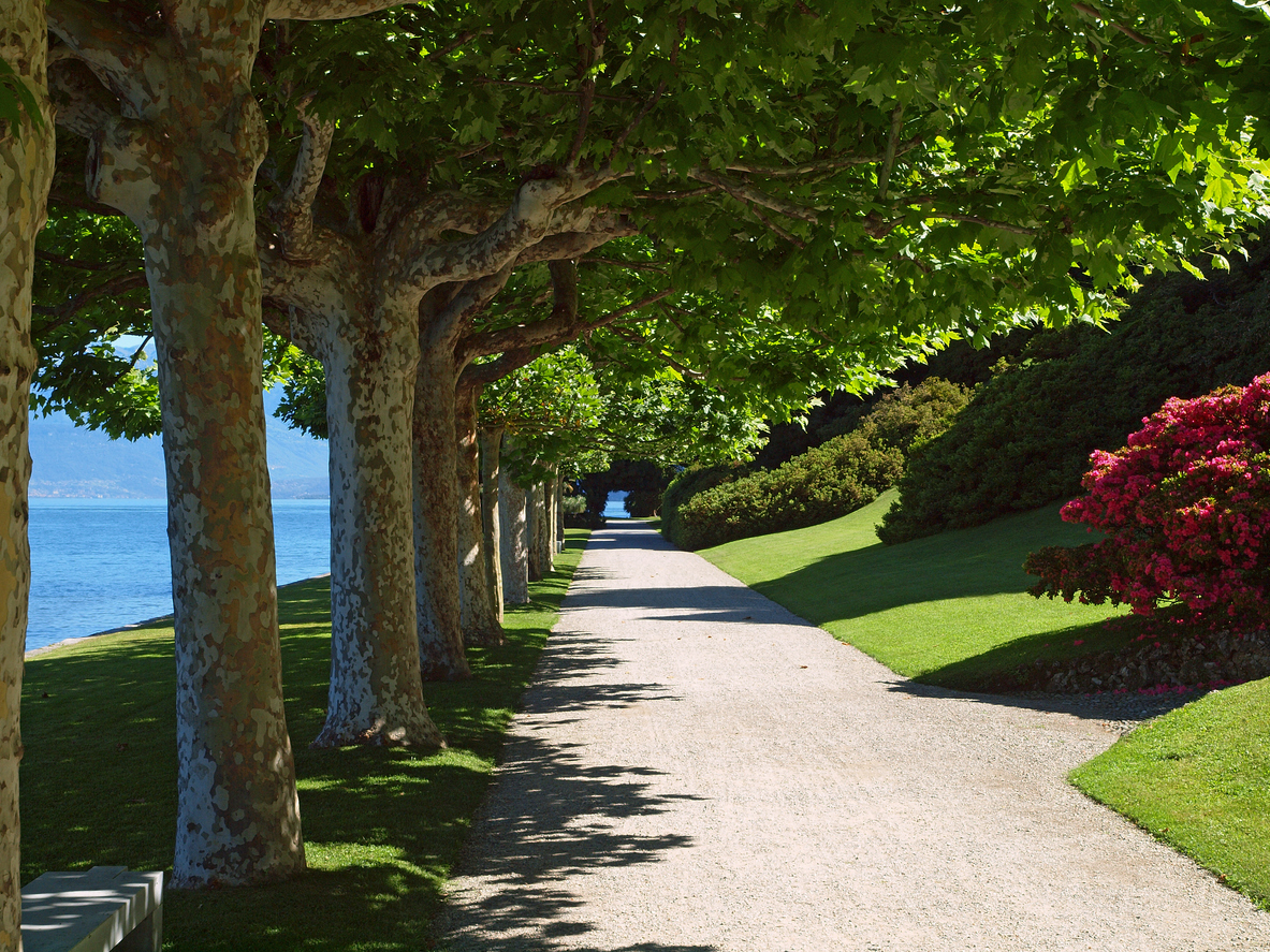 A garden path along Lake Como
