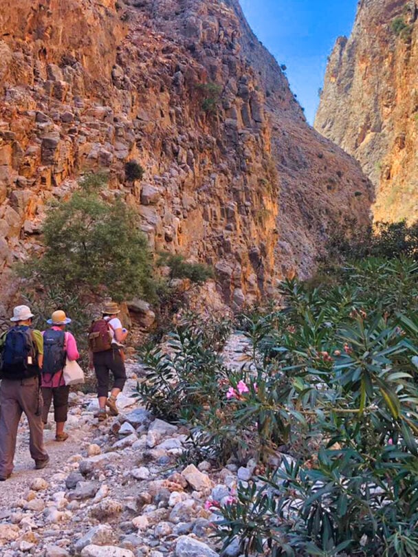 Walking Holidays in Crete
