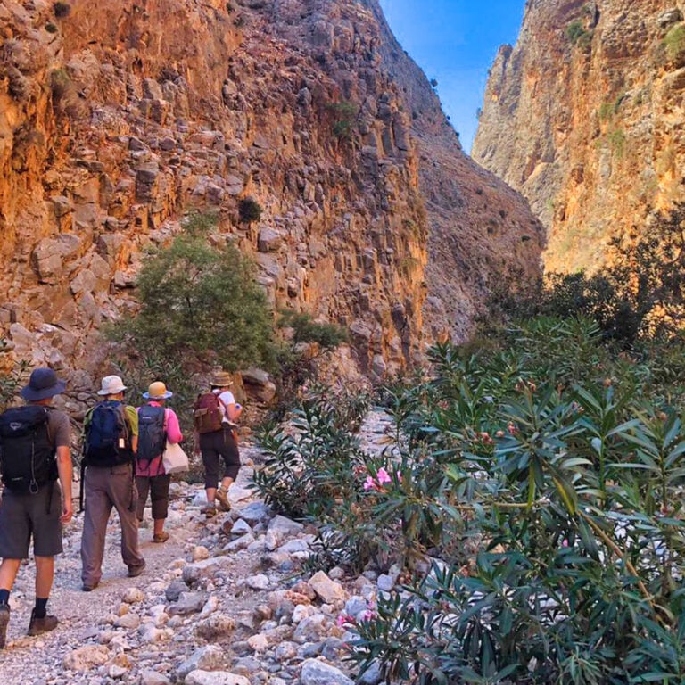 Hikers walking through Aradena Gorge, Crete, with oleanders lining their path
