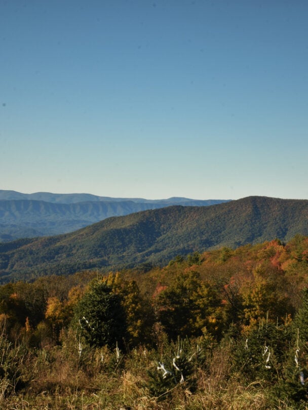 Appalachian Trail backpacking trip, women