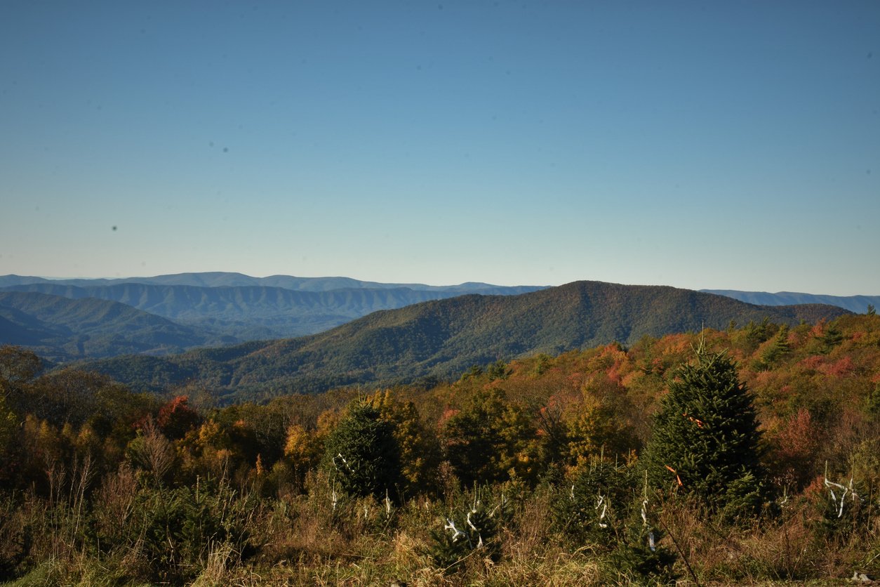 Hiking Appalachian Trail, warm hues