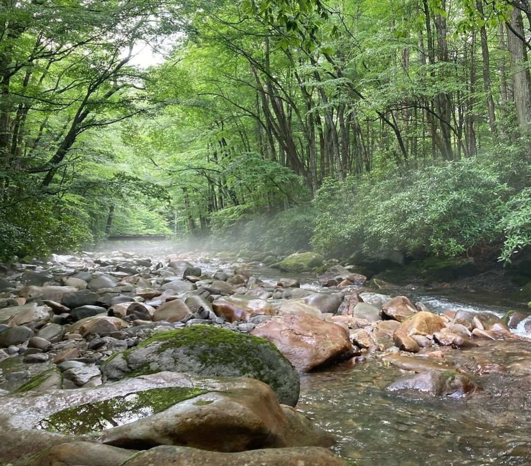 Hiking in the Smoky Mountains