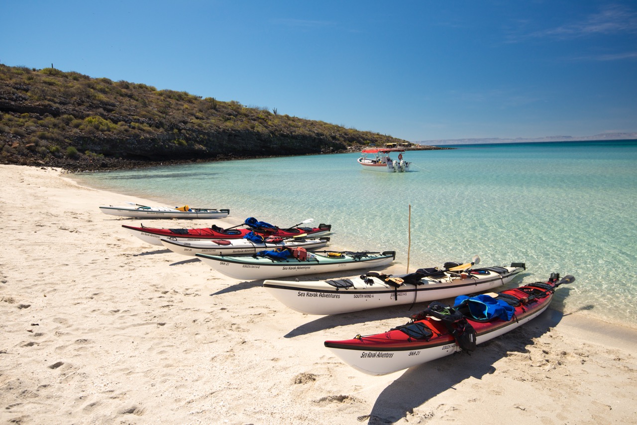 Line of kayaks Isla Espiritu