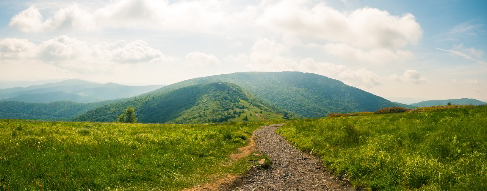 Lovely trail views along the AT