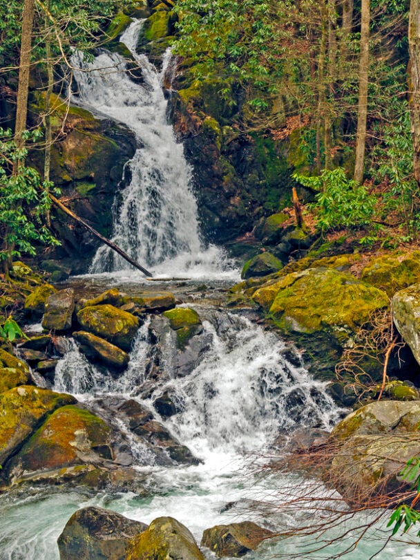 Great Smoky Mountains backpacking trip