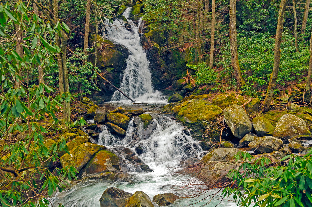 Mouse Creek Falls in the Smokies
