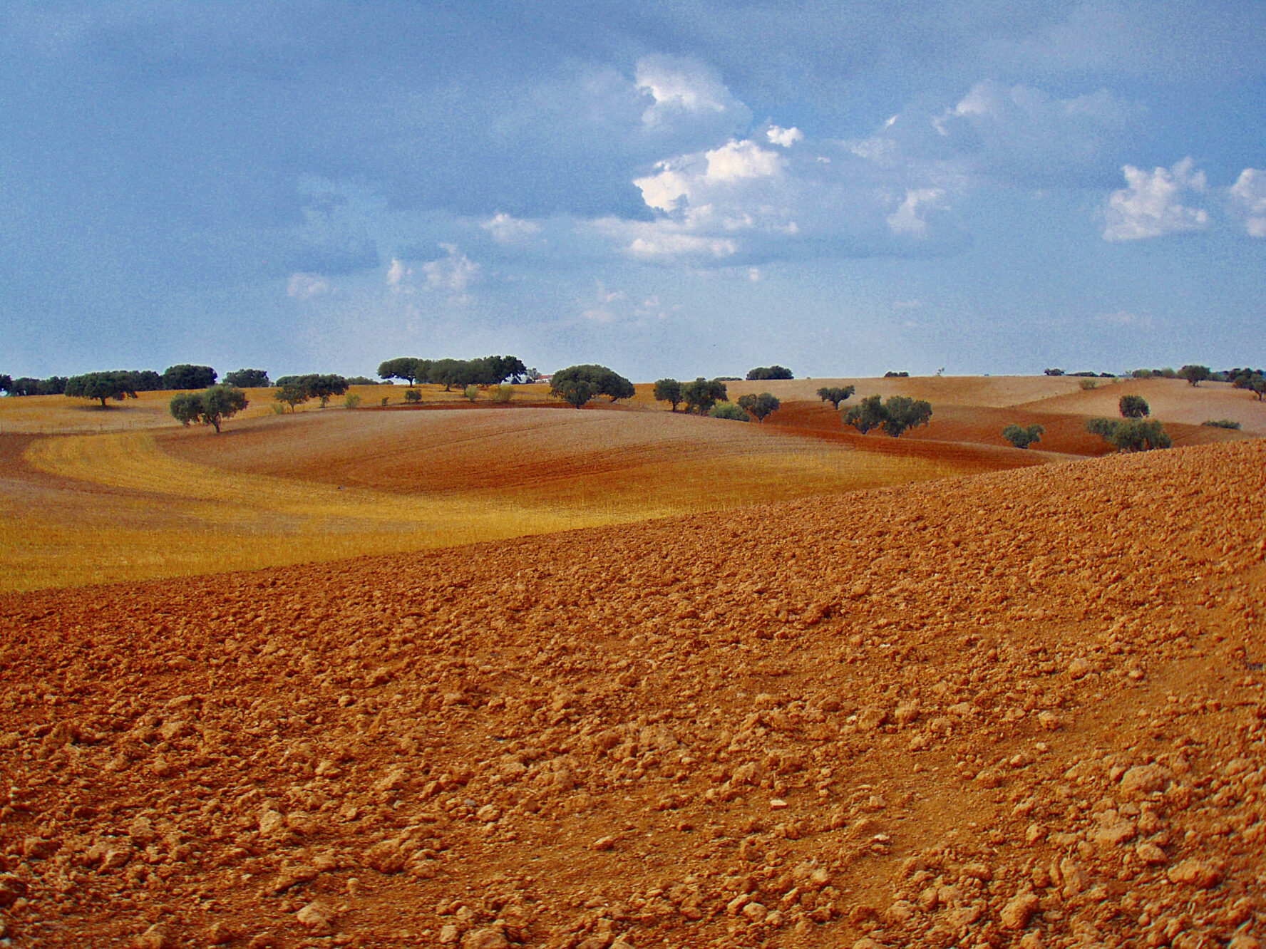 Portugal’s Alentejo golden hues