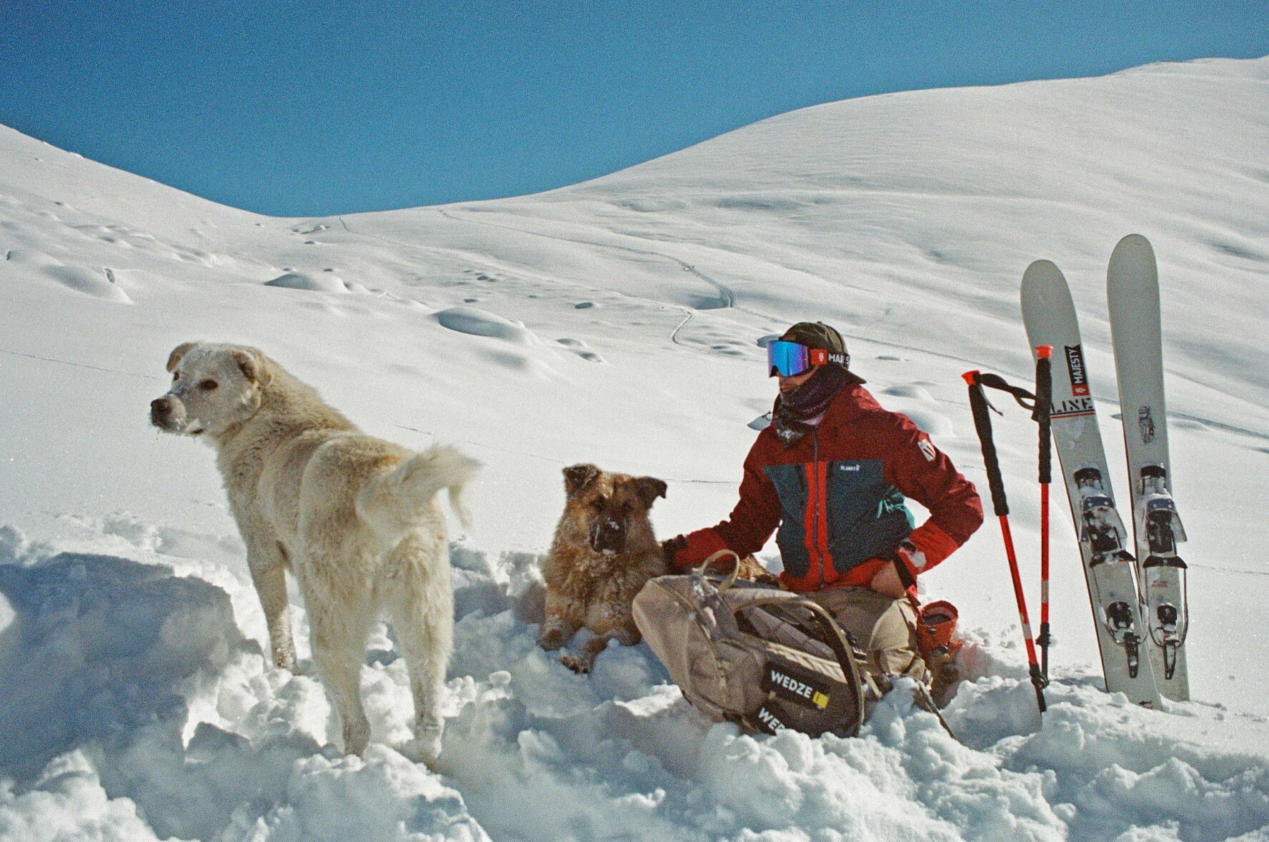 Skier and his dogs in fresh snow in Gudauri resort